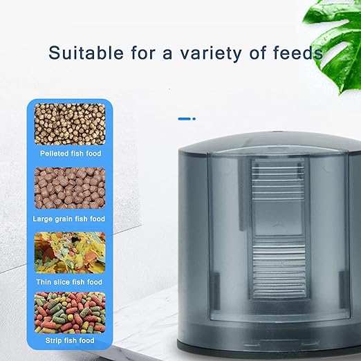 Smart Fish Feeder - Image 8
